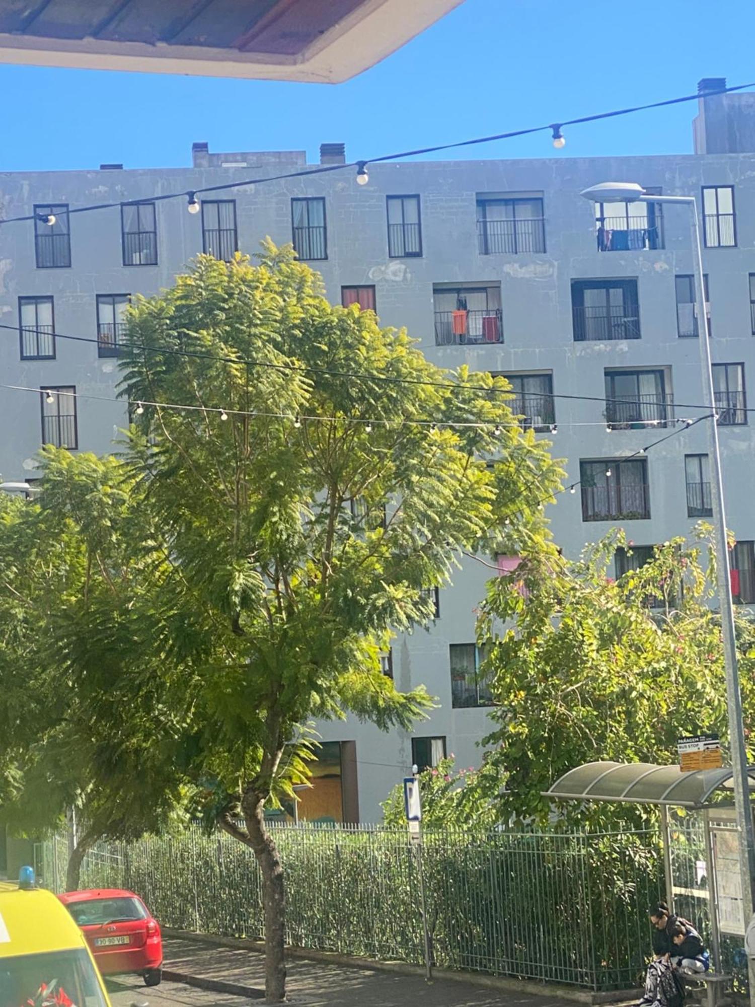 דירות Funchal Varzea Park מראה חיצוני תמונה